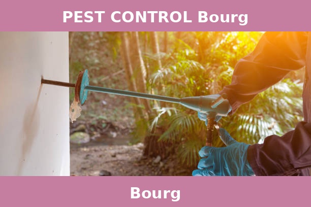 PEST CONTROL Bourg